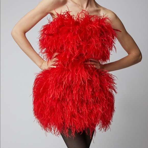Attico Ostrich Feather Dress - Picture 3 of 4